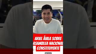 ARIEL ÁVILA SOBRE LA PROPUESTA DE PETRO DE LA ASAMBLEA NACIONAL CONSTITUYENTE [upl. by Annawad]