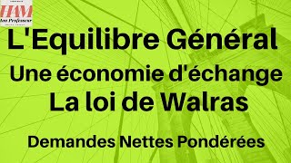 TD5Equilibre généralEX1 Equilibre général dans une économie déchange la loi de Walras [upl. by Milson]