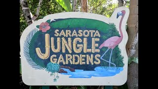 Sarasota Jungle Gardens Tour [upl. by Birk]