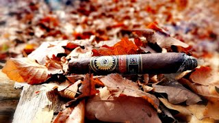 Perdomo Double Aged 12 Years Vintage Salomon Maduro Zigarren Review [upl. by Aizahs]