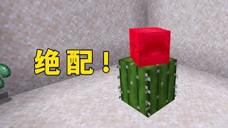 我的世界：當犰狳遇上仙人掌，這才是基岩版的上限！ 我的世界 minecraft mc [upl. by Nylirad]