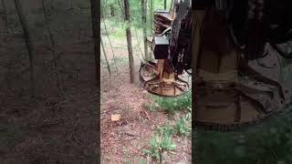 heavyequipment tigercat logloader Cutting Tree [upl. by Bee]