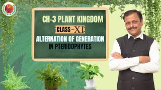 Alternation of Generation in Pteridophytes  Ch3 Plant Kingdom  Class 11  Bio by Gulab Sir [upl. by Lyret]