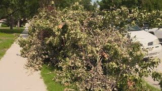 Storm debris cleanup across North Texas to extend through July [upl. by Ymerrej]