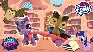 Custom LPS Princess Twilight Sparkle amp Owlowiscious  My Little Pony  Littlest Pet Shop Mashup [upl. by Treharne]