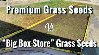 Premium vs Inexpensive Grass Seeds  Is it worth it [upl. by Mosier631]