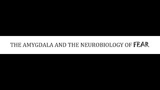 STAHLS  CH 9  PART 2  THE AMYGDALA AND NEUROBIOLOGY OF FEAR  psychiatrypsychopharmacology [upl. by Sioux596]