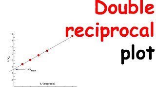 Double reciprocal plot [upl. by Epner]