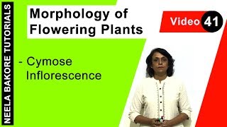 Morphology of Flowering Plants  NEET  Cymose Inflorescence  Neela Bakore Tutorials [upl. by Evannia]