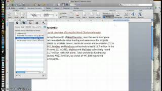 Citation Manager in Word [upl. by Nellad]
