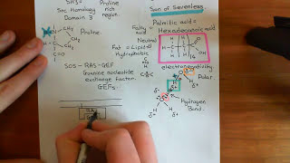 Receptor Tyrosine Kinases Part 5 [upl. by Htebazileyram699]