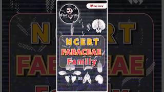 👆Short Trick to Learn FABACEAE Family💯📝 💪✌️ Motion NEET nvsir neet2024 shorts biology trick [upl. by Eelyam]