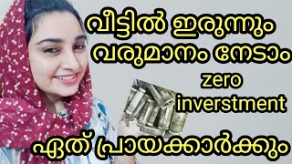 Magnessa business plan malayalamonline business opertunity malayalamonline business no investment [upl. by Riehl]