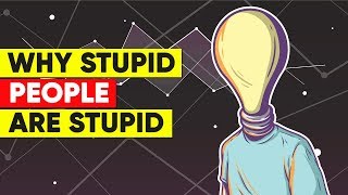 Why Stupid People Are Stupid [upl. by Furr381]