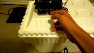 DIY Thermoelectric Peltier Mini Fridge [upl. by Rosenfeld]