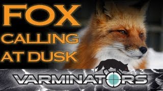 Fox shooting with a custom built Lakelander 243 [upl. by Ivz146]