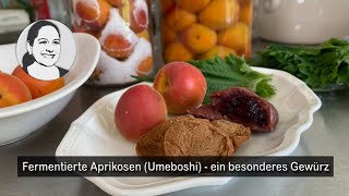 Umeboshi selbst gemacht Umami pur  und besser als Maggi 😆 Deutsch Fermentierte Aprikosen 😉 [upl. by Nidorf]