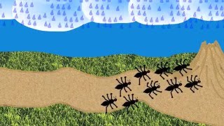 The Ants Go Marching A childrens counting song [upl. by Fridell]