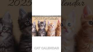 Cat Desktop Calendar Cat Desk Calendar 2025 Desk Calendar Kitten Calendar Cat Calendar Kitty [upl. by Budwig]