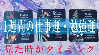 6択✨✨この動画を観てから１週間の仕事運💻勉強運📚⚠️極端な結果と辛口の結果あり [upl. by Yrocal]