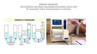 Osmosis explained [upl. by Oiratnom]