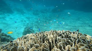 Die Inselgruppe Okinawa  ein Paradies für Wassersportler [upl. by Ressler980]