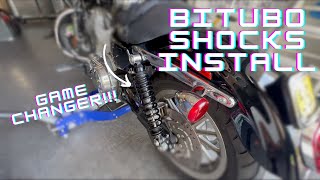 Bitubo Shocks  How to Install  Review  Harley Davidson Sportster [upl. by Yrocej990]