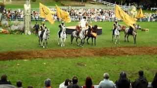 SPECTACLE EQUESTRE  MARIO LURASCHI  Dinard 14092013 [upl. by Novehc590]