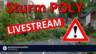 Sturm Poly am Mittwoch  Livestream Update [upl. by Fesuoy]