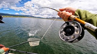 The Ultimate Fishing Trip to Taos  New RARE Species  FieldTrips New Mexico [upl. by Cann]