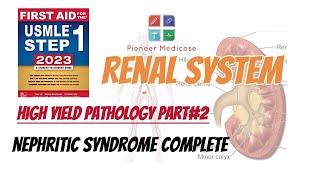 Nephritic Syndrome of Renal System made easy from step 1pathology part 2UrduHindi [upl. by Emoreg]