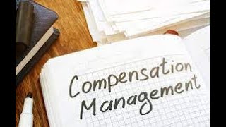 12 Types of Compensation in HR Management hindi  Pay Structure  BBA MBA Mcom CS amp BCom [upl. by Ayidah46]