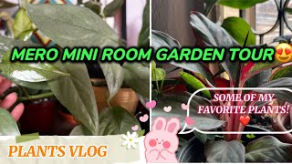 My Room Garden Tour PartIINepali Room GardeningSmall Space Gardening🌱gardentourSarulimbu123 [upl. by Henig]