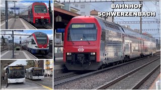 Züge beim Bahnhof Schwerzenbach  Trains at Schwerzenbach station 2024 [upl. by Saretta]