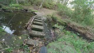 Hornsby to Westleigh Mountain Bike Trail [upl. by Geldens663]