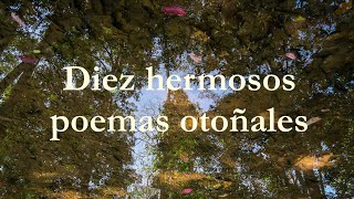 Diez hermosos poemas otoñales [upl. by Johann]