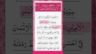 Surah At Tin Vattini VajjaytuniThe Profound Wisdom [upl. by Lira]