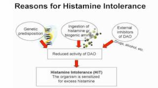 Food Intolerance Revealing the Hidden Epidemic Part II [upl. by Amabil]