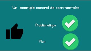 🔴 Un exemple de commentaire composé vidéo 2 Problématique et plan 🔴 [upl. by Assille120]