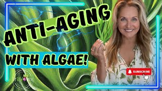 POWERful Discovery ALGAE SLOWS DOWN Aging Process amp Boosts Energy [upl. by Nnylarac]