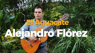 El Aguacate cover de Alejandro Flórez [upl. by Stanton204]