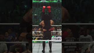 Undertaker vs Roman Reigns Epic Finisher Battle [upl. by Elisabeth933]