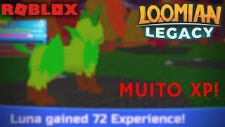 Como conseguir MUITO XP no LOOMIAN LEGACY [upl. by Ilwain]