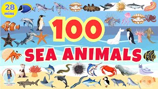 100 SEA ANIMALS for Kids  Aquatic Animals Names and Videos  English Vocabulary [upl. by Searby222]