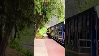 lovedale ooty Railway station ooty shortsvideo dance [upl. by Chelsie393]