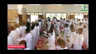 Seminarians of St Peters Regional Seminary Ghana celebrating palm with Laud Hosanna to the King [upl. by Atwood]