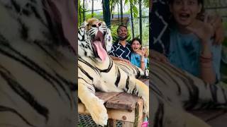 Hello Thailand explorepage comedy funny honeymoon shorts viralvideo videos [upl. by Neumeyer]