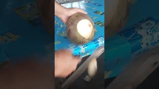 Satisfying coconut water fresh shorts coconut satisfying coconutwater videoviral fyp [upl. by Heidi]