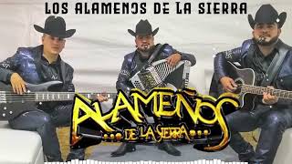 LOS ALAMEÑOS DE LA SIERRA ✨ Cumbias Mix Pa Bailar 2024✨ Popurri Cumbias Sierreñas [upl. by Ecirual963]