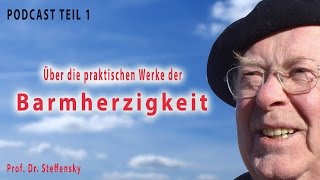 Über die praktischen Werke der Barmherzigkeit  Prof Dr Steffensky [upl. by Htebarual897]